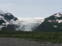 Exit Glacier